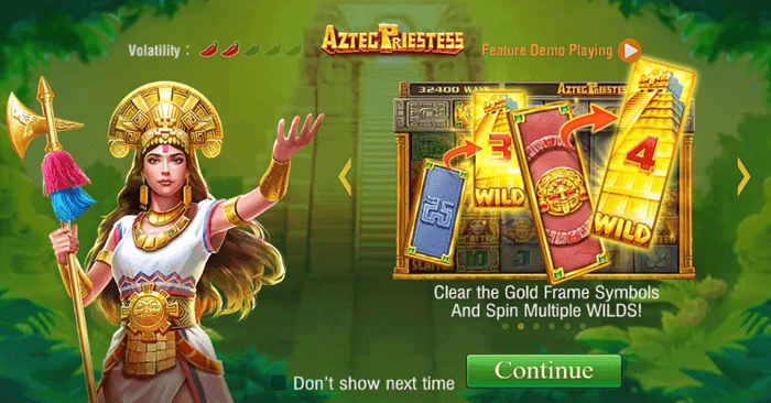 Aztec Priestess