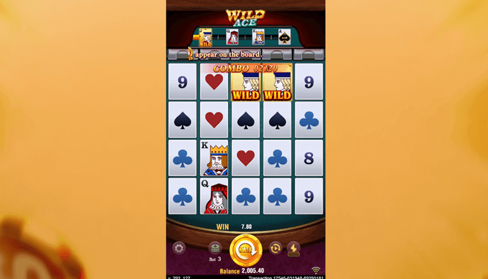 WILD ACE Interface